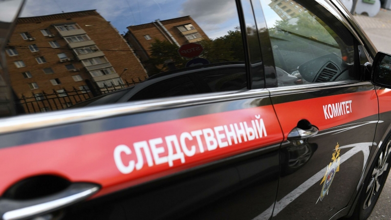 Details of the murder of mother and daughter in New Moscow are known