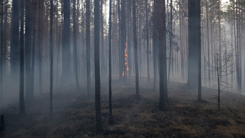 Forest the fire destroyed more than 30 buildings identiels in Yakutia 