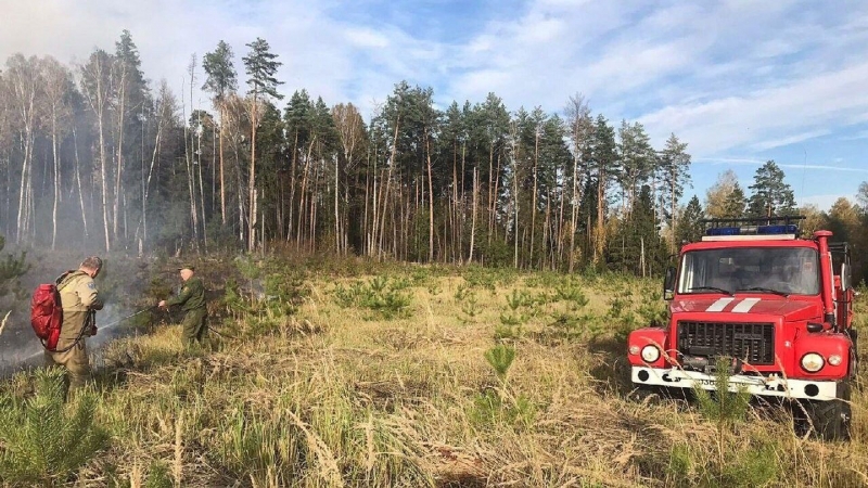 Extinguished in the Fire in the Moscow region in the forest 